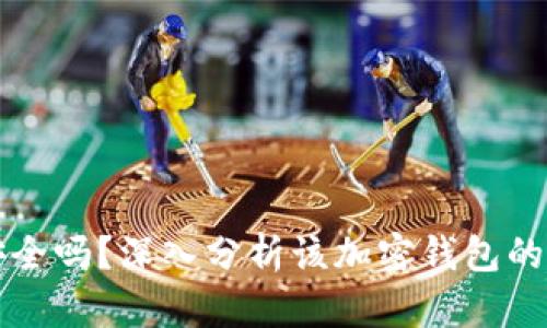 tpWallet安全吗？深入分析该加密钱包的风险与保障