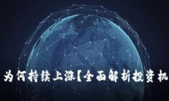 tpWallet的币为何持续上涨？全面解析投资机会与市