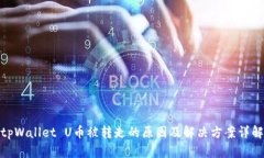 tpWallet U币被转走的原因及解决方案详解