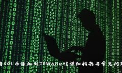 如何将SOL币添加到TPWallet？详细指南与常见问题解