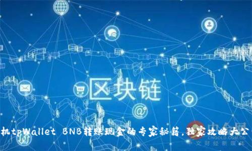 手机tpWallet BNB转账现金的专家秘籍，独家攻略大公开！