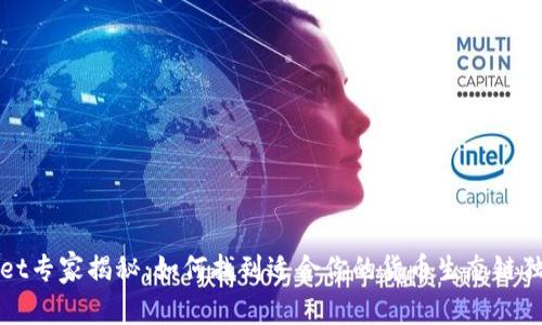 TPWallet专家揭秘：如何找到适合你的货币生态链独家秘诀