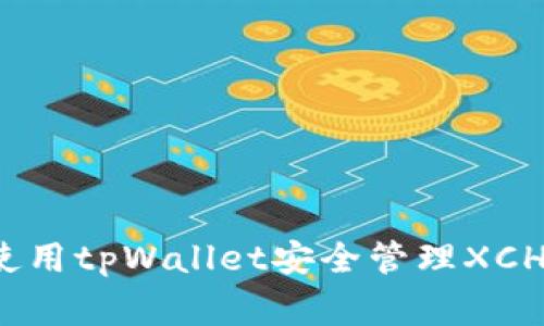 专家揭秘：如何使用tpWallet安全管理XCH资产的独家秘诀