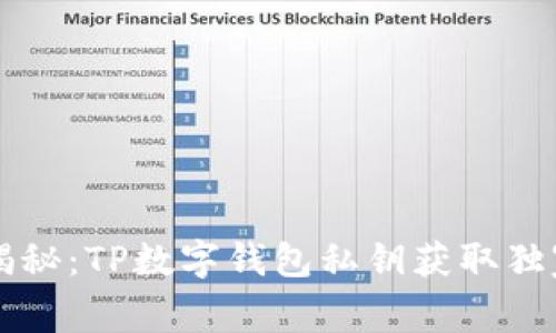 专家揭秘：TP数字钱包私钥获取独家秘诀