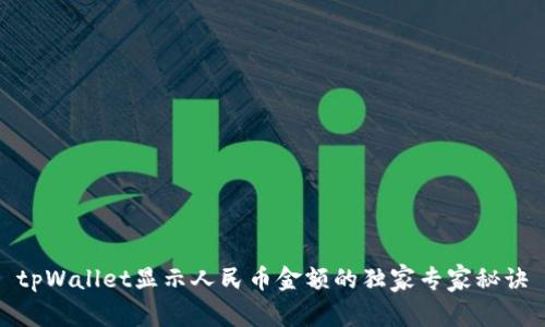 tpWallet显示人民币金额的独家专家秘诀